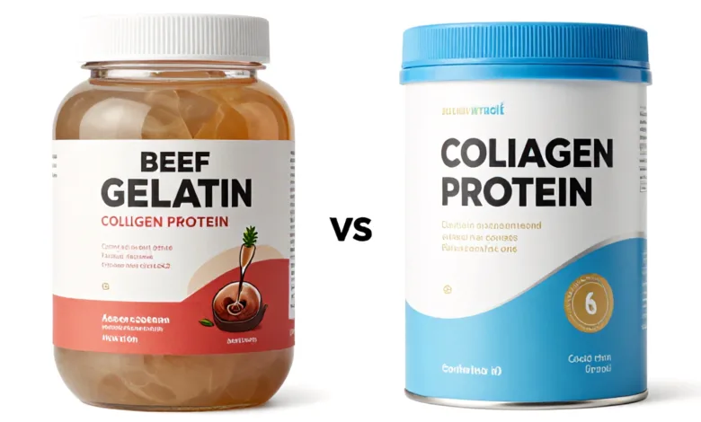 Beef Gelatin vs Collagen Protein: Which Is Better for Recipes? Beef Gelatin vs Collagen Protein: Which Is Better for Recipes?