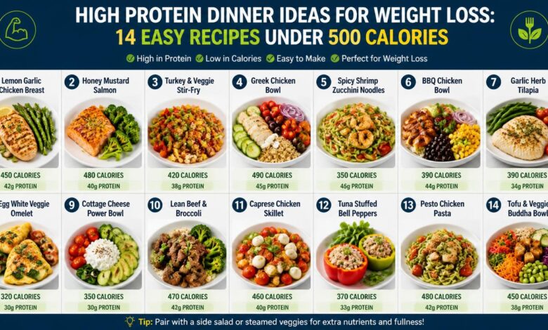 High Protein Dinner Ideas for Weight Loss: 14 Easy Recipes Under 500 Calories